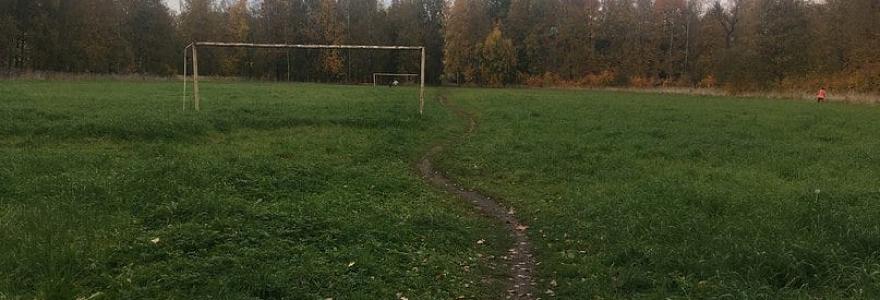На футбольном поле в Кречевицах будет естественный газон 